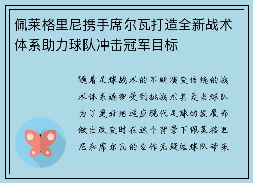 佩莱格里尼携手席尔瓦打造全新战术体系助力球队冲击冠军目标