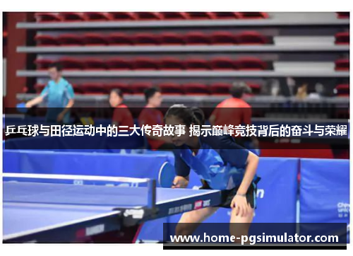 乒乓球与田径运动中的三大传奇故事 揭示巅峰竞技背后的奋斗与荣耀