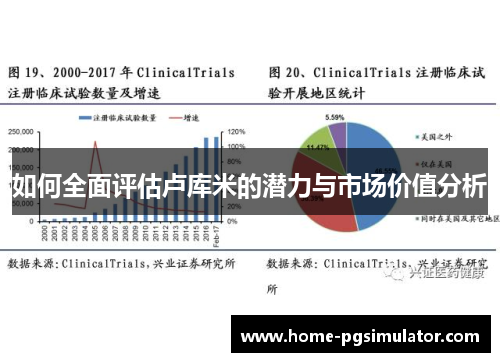 如何全面评估卢库米的潜力与市场价值分析