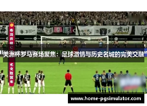 美洲杯罗马赛场聚焦：足球激情与历史名城的完美交融