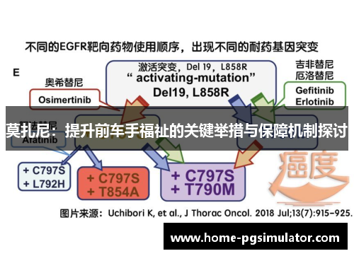 莫扎尼：提升前车手福祉的关键举措与保障机制探讨