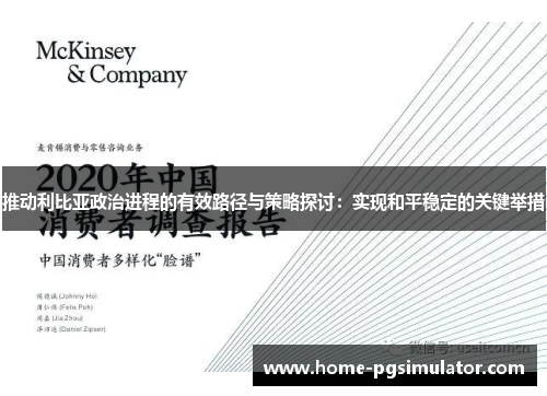 推动利比亚政治进程的有效路径与策略探讨：实现和平稳定的关键举措