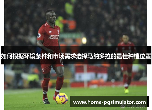 如何根据环境条件和市场需求选择马纳多拉的最佳种植位置