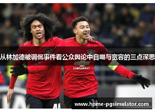 从林加德被调侃事件看公众舆论中自嘲与宽容的三点深思 从林加德被调侃事件看公众舆论中自嘲与宽容的三点深思